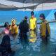 Kegiatan Olahraga Renang Anak SLB Sathiten Kota Malang Digelar di Kolam Renang Sulfat Barracuda's