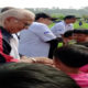 IMG 20260816 013904